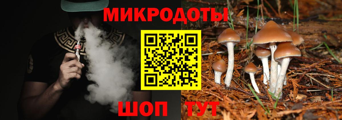 Невинномысск  Псилоцибиновые грибы мицелий  Вход с VPN  Псилоцибиновые грибы GOLDEN TEACHER 